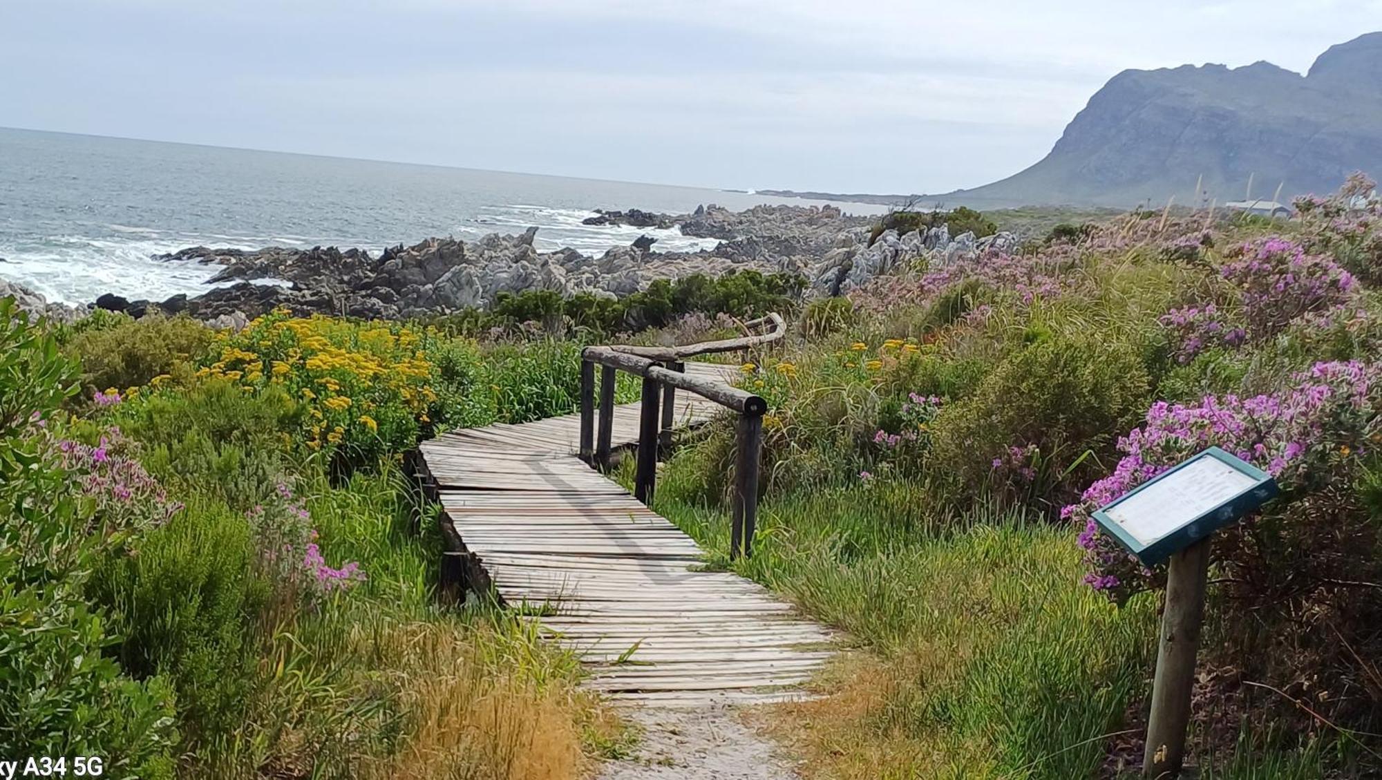 Kleinmond Panorama Holidays Esterno foto